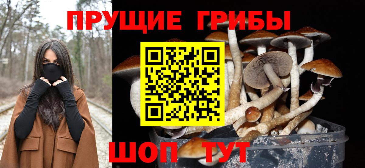 Галлюциногенные грибы Psilocybine cubensis  Вход с VPN  Лыткарино  Галлюциногенные грибы Cubensis 