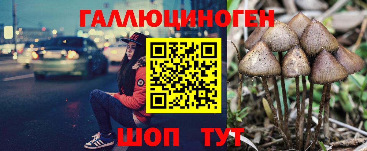 Псилоцибиновые грибы GOLDEN TEACHER Лыткарино
